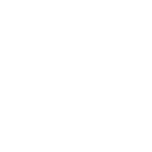 Ariya Property Services